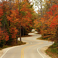 Curvy Fall