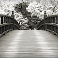 Japanese Dream Infrared